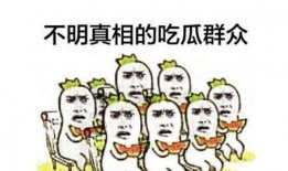 热心的朝阳群众吃瓜51,揭秘网络热点的背后故事