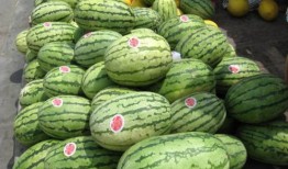 怀仁网红大瓜最新消息,揭秘背后惊人真相，网友热议不断！